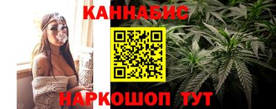 сатива Краснознаменск